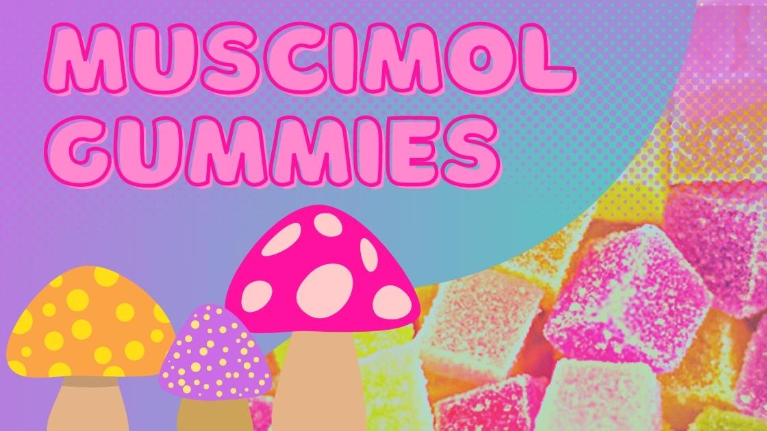 Muscimol Gummies: Know Before You Buy
