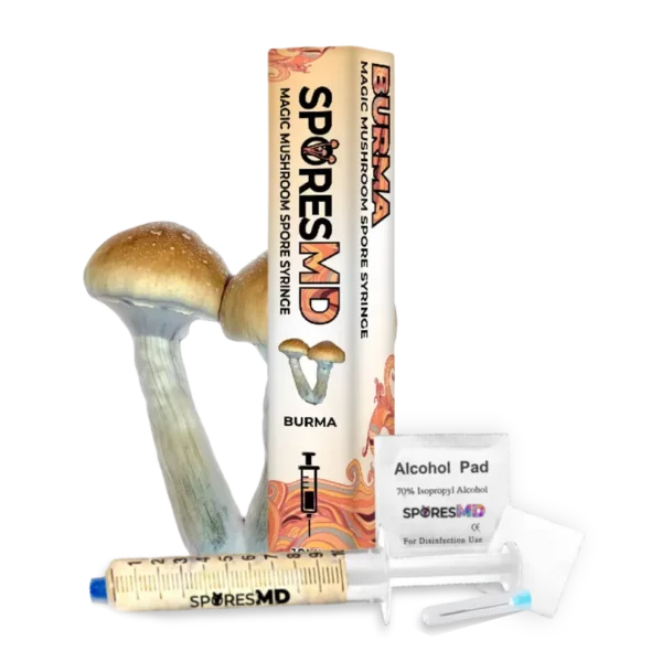 burma spores syringe - 10ml