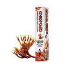 Antler Reishi Mushroom Liquid Culture Syringe