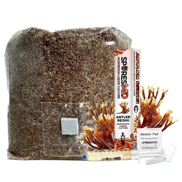 Functional Mushroom Kit - Antler Reishi