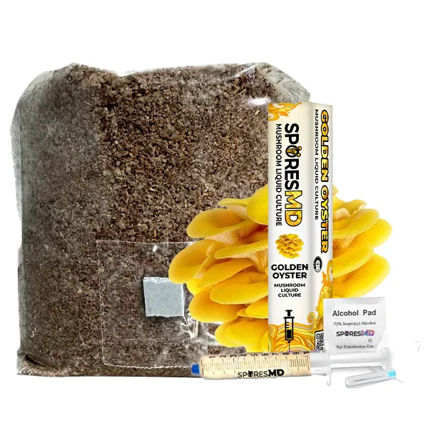 Functional Mushroom Kit - Golden Oyster