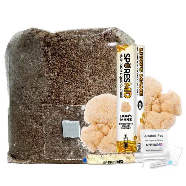 Lion's Mane mushroom grow kit by SporesMD