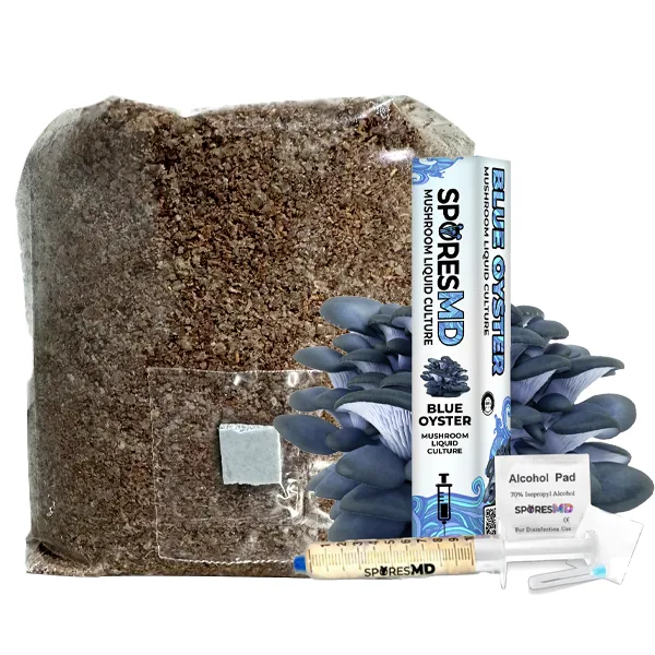 Functional Mushroom Kit - Blue Oyster