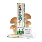 Koh Samui Super Strain Mushroom Liquid Culture (10ml)