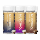 Muscimol Chocolates – 3-Pack All Flavors