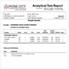Microscopy Spores Syringes Lab Report