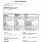 Lion’s Mane Mushroom Gummies