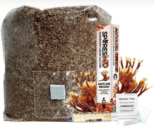 Mushroom Experiments