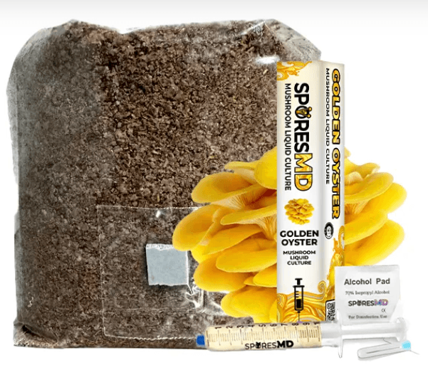 Mushroom Experiments