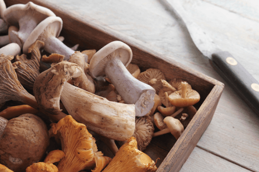 Functional Mushrooms 101: What They Are, How They’re Made Into Products, and What Today’s Research Shows