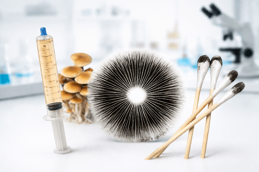 Understanding Mushroom Spore Prints vs. Spore Syringes: Pros and Cons for Microscopy