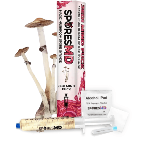 Top Liquid Cultures for Microscopy in 2026