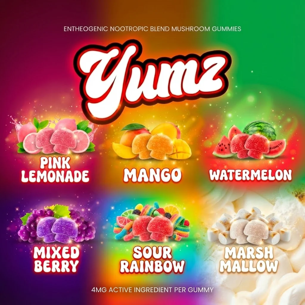 YUMZ Legal Nootropic Gummies ( Mega Bundle ) Get All 6 flavors