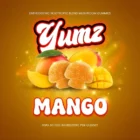 YUMZ Nootropic Gummies Mango