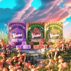 YUMZ Mushroom Gummies Bundle - 3 pack
