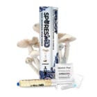 SporsMD Efroot Mushroom Liquid Culture 10mL