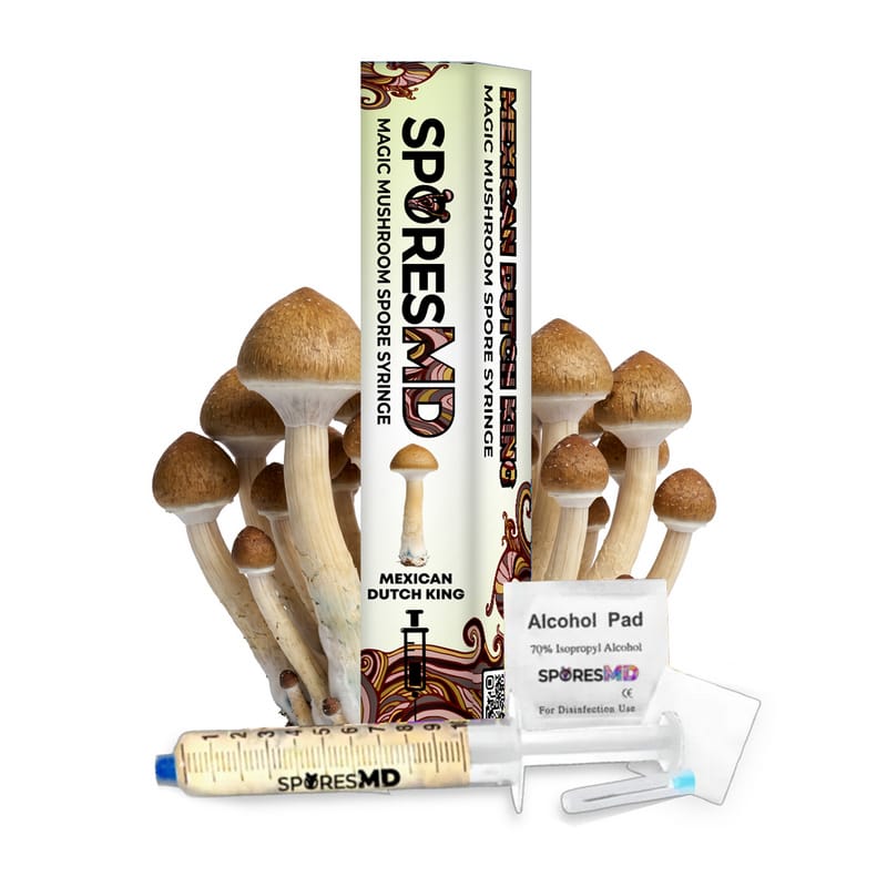 Mexican Dutch King Mushroom Liquid Culture 10mL