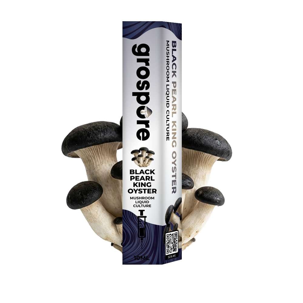 GROSPORE BOX BLACK PEARL OYSTER_2 Grospore Black Pearl King Oyster Mushroom Liquid Culture Syringe – 10ml