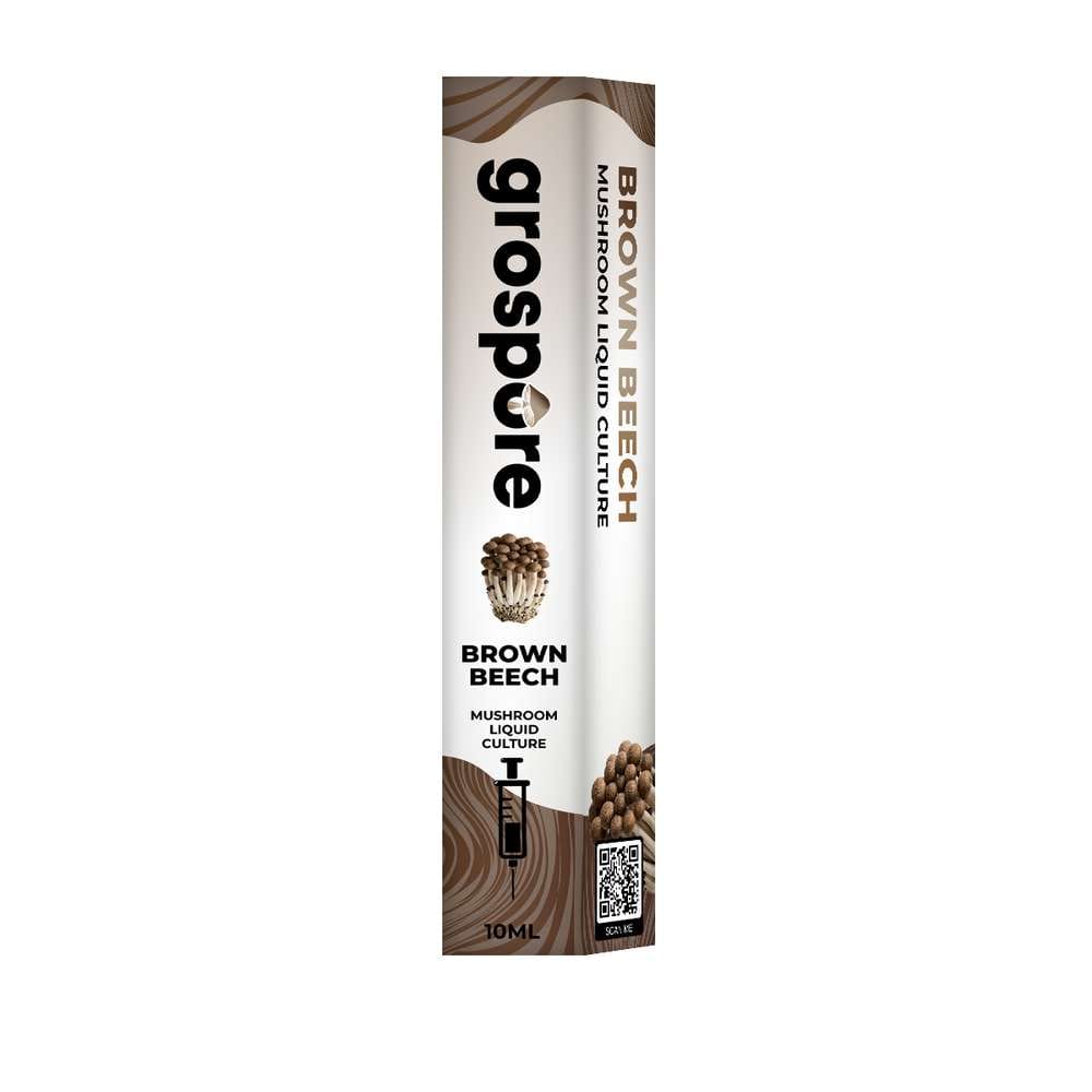 Grospore Brown Beech Mushroom Liquid Culture Syringe