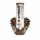 Grospore Brown Beech Mushroom Liquid Culture Syringe – 10ml