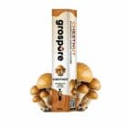 Grospore Chestnut Mushroom Liquid Culture Syringe – 10ml
