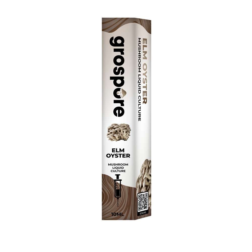 Grospore Elm Oyster Mushroom Liquid Culture Syringe