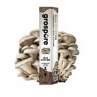 Grospore Elm Oyster Mushroom Liquid Culture Syringe – 10ml