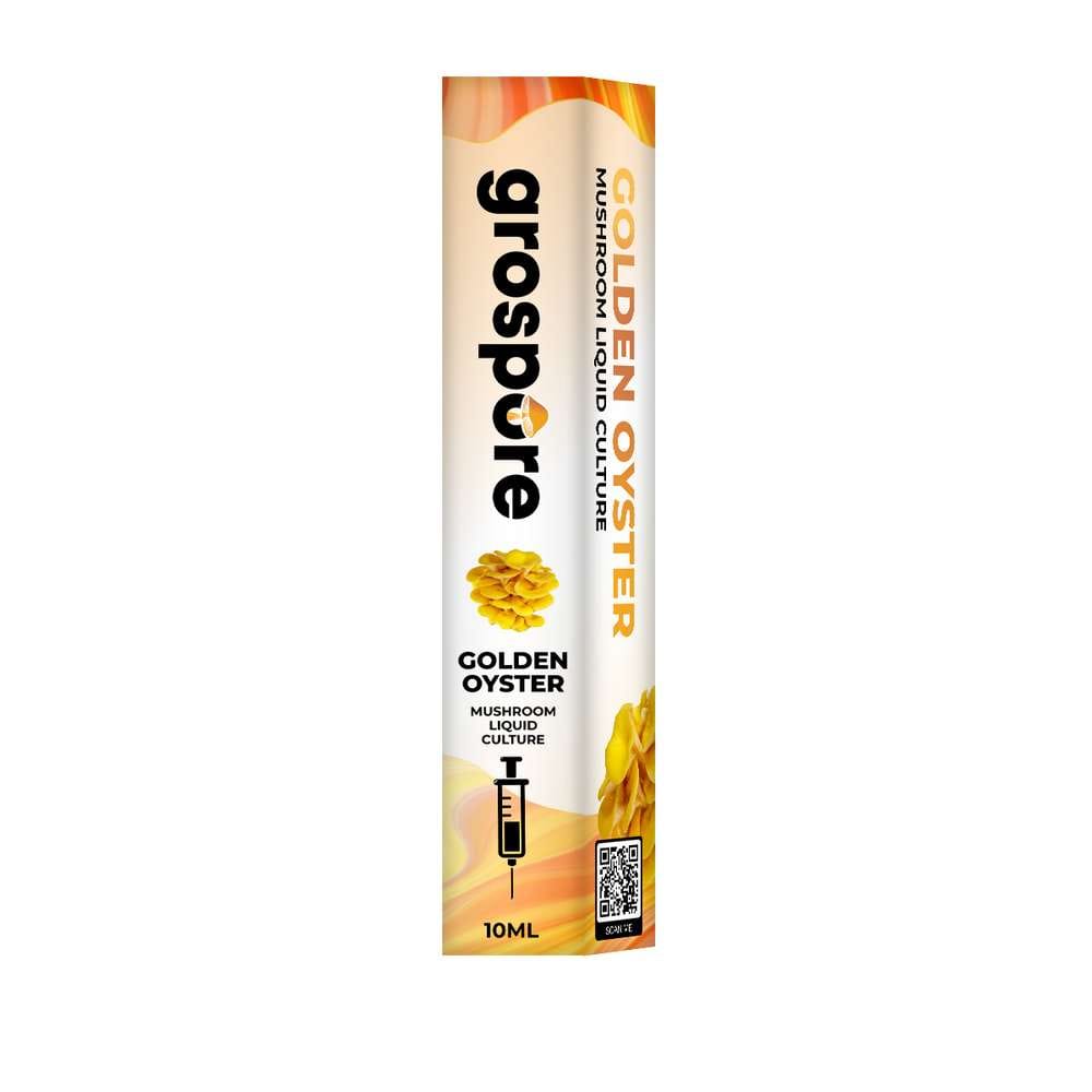 Grospore Golden Oyster Mushroom Liquid Culture Syringe