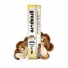 Grospore King Oyster Mushroom Liquid Culture Syringe – 10ml