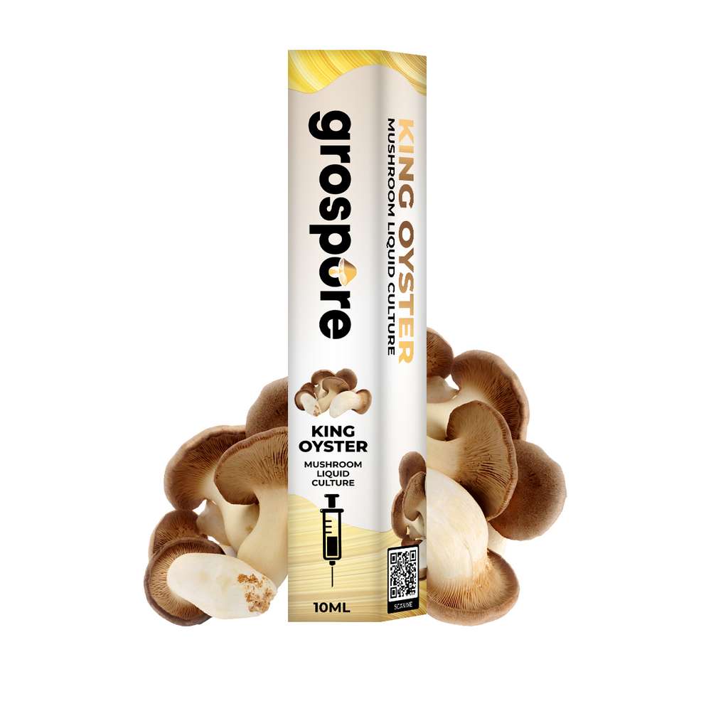 GROSPORE BOX KING OYSTER_2 Grospore King Oyster Mushroom Liquid Culture Syringe – 10ml