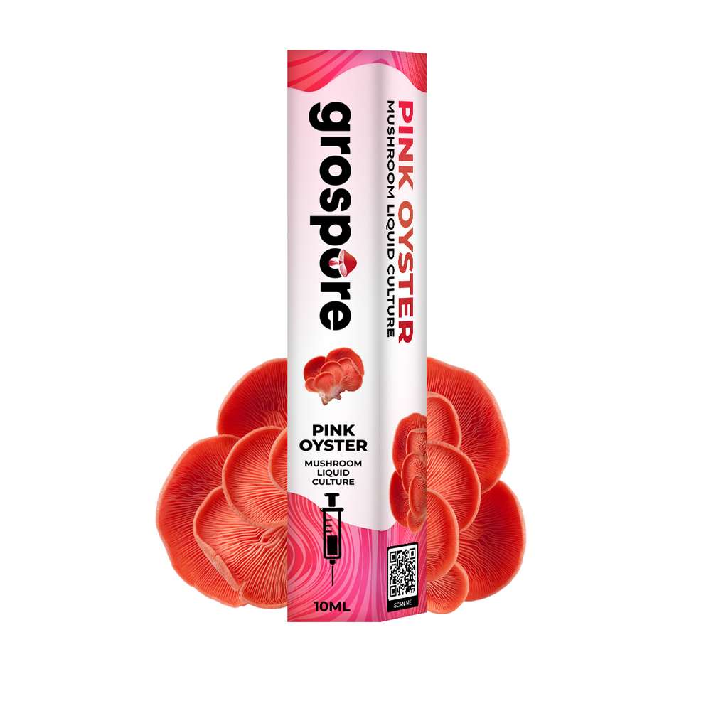 GROSPORE BOX PINK OYSTER_2 Grospore Pink Oyster Mushroom Liquid Culture Syringe – 10ml