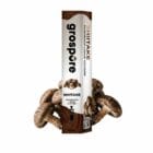 Grospore Shiitake Mushroom Liquid Culture Syringe – 10ml