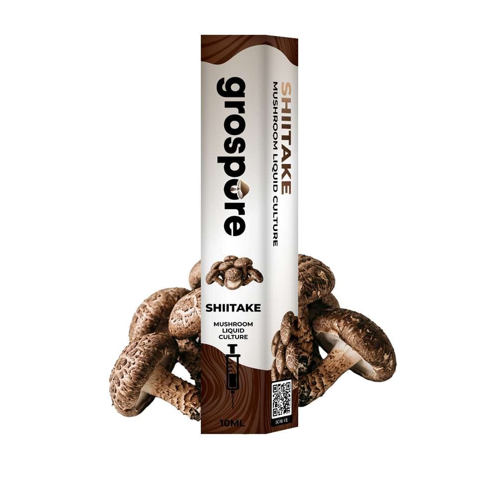 GROSPORE BOX SHIITAKE_2 Grospore Shiitake Mushroom Liquid Culture Syringe – 10ml